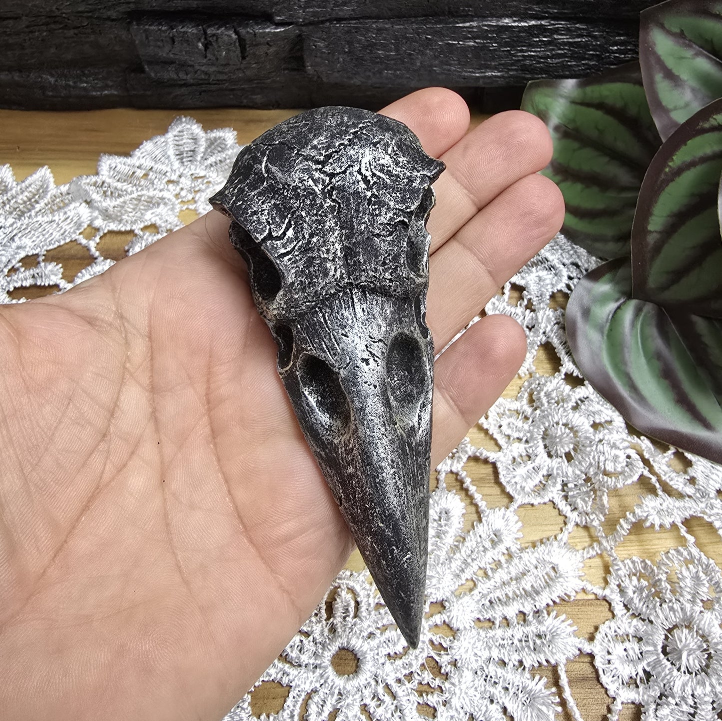 Das Bild zeigt einen Krähenschädel Dekofigur schwarz/silber, 10 cm, aus Kunststein, Hexenaltar, Altarschmuck, gotisches Wohndekor, Rabenschädel
Dieser mystische Krähenschädel aus Kunststein ist ein faszinierendes Schmuckstück für jedes gotische Wohndekor und ein kraftvolles Element für Ihren Hexenaltar.