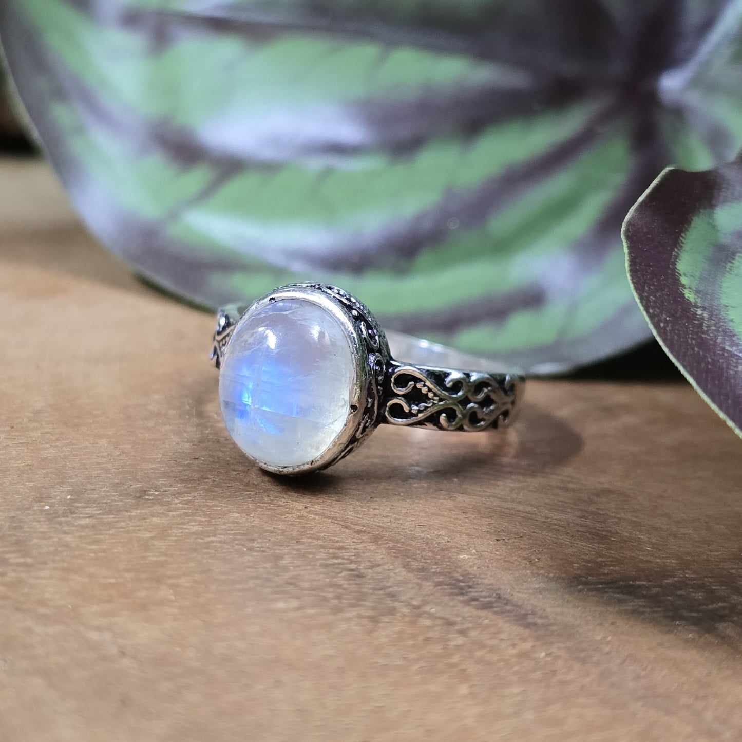 Ring aus .925 Sterling Silber mit ovalem Regenbogen Mondstein