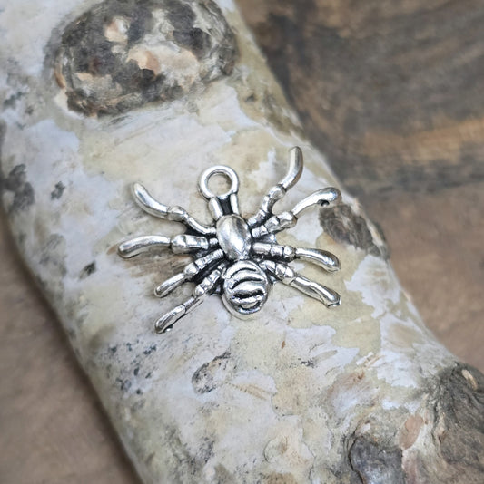 Das Bild zeigt 4 Charms Anhänger Spinne, antik silberfarbig, 15mm, antik silberfarbig