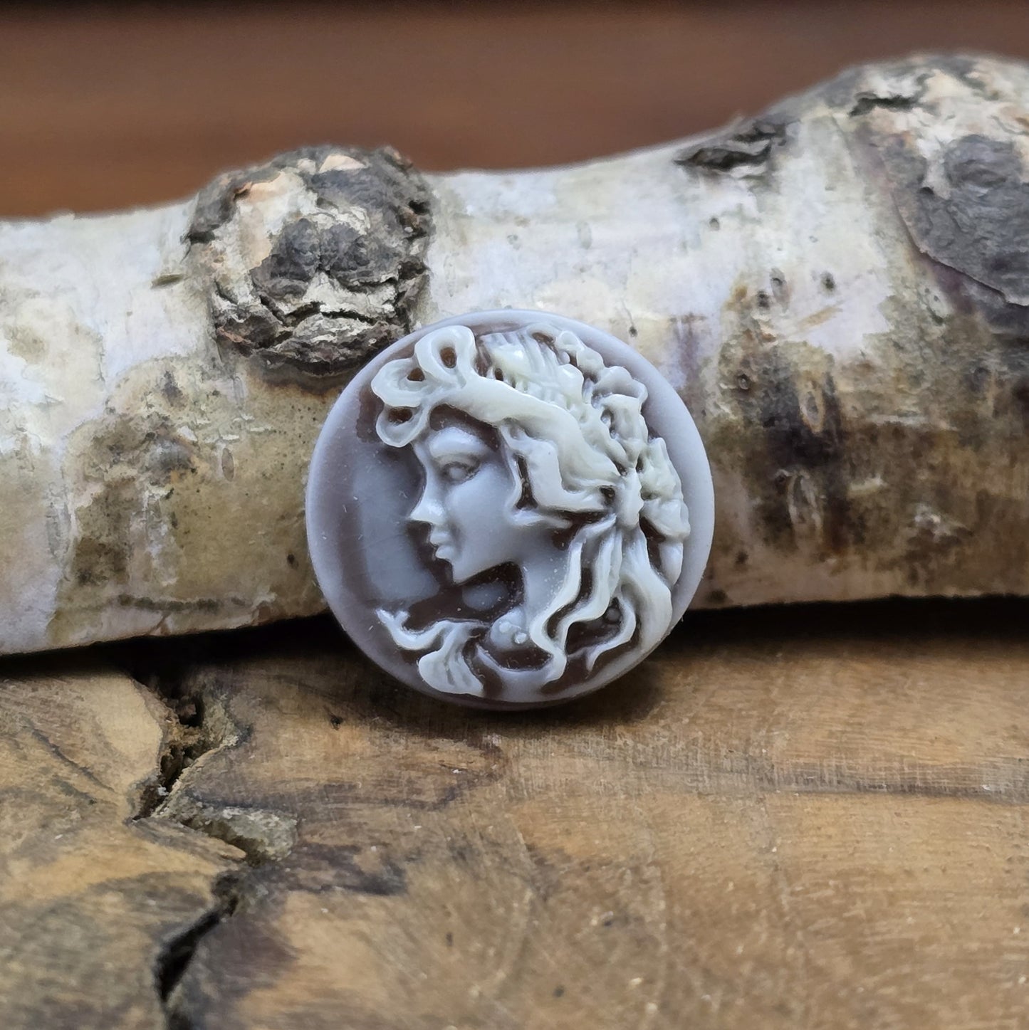 Das Bild zeigt runde Kamee-Cabochons – 17mm – Braun – Vintage-Flair für deine kreativen Projekte