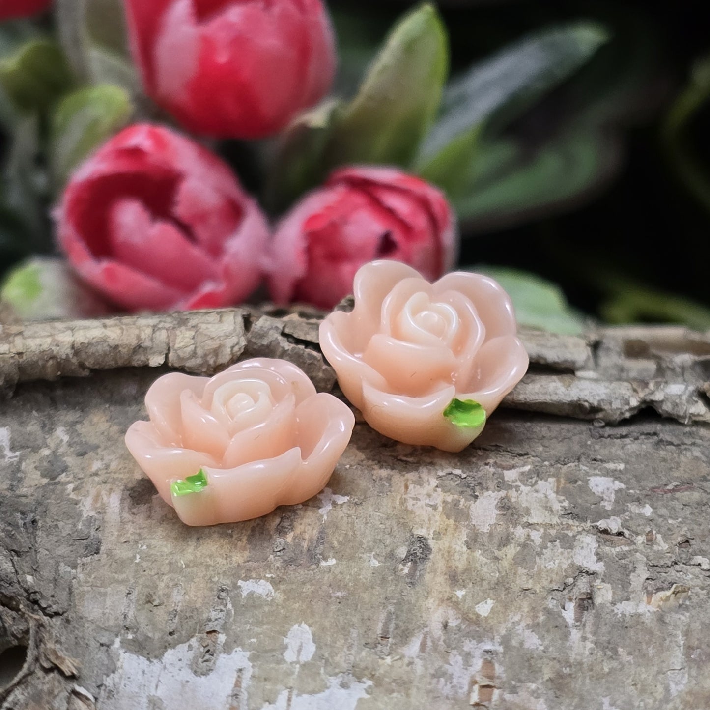 Das Bild zeigt 2 Cabochons offene Rose – 15mm – Apricot – Zarte Akzente für deine Schmuckkreationen 🍑🌹
