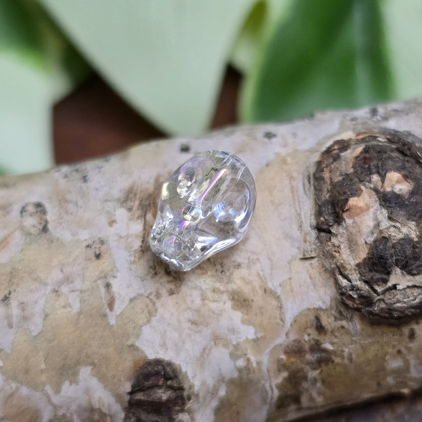 Das Bild zeigt zwei schimmernde Glasperlen in Totenkopf-Form mit Crystal-AB-Beschichtung. Die Perlen sind dreidimensional gestaltet, sodass Details wie Augenhöhlen, Nase und Kiefer deutlich erkennbar sind. Ihre Oberfläche reflektiert das Licht in irisierenden Farben, die je nach Blickwinkel changieren. Die Bohrung verläuft von oben nach unten, sodass sie ideal für Schmuckprojekte geeignet sind.