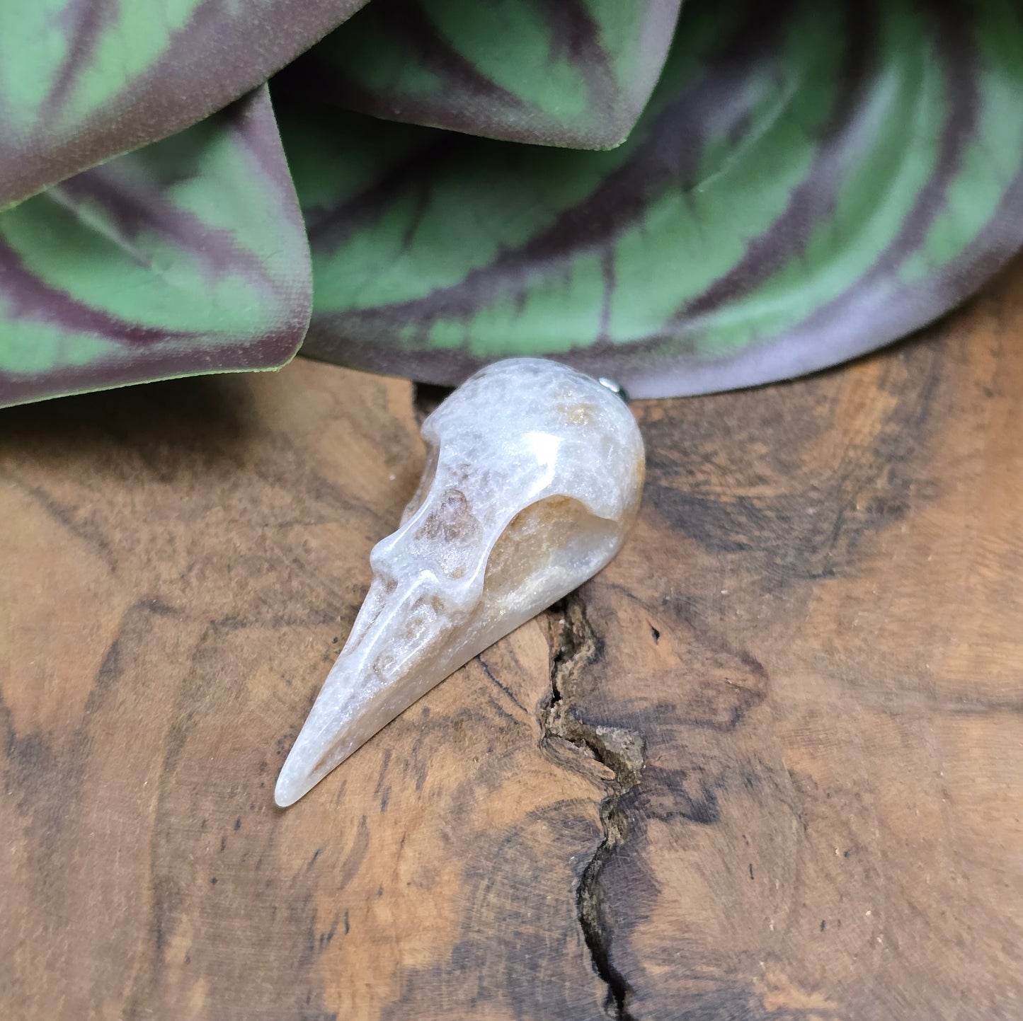 1x Resin-Krähenschädel-Anhänger Silbergrau, 44mm – flacher Rücken, perfekt für mystischen DIY-Schmuck & einzigartige Accessoires mit Charakter.