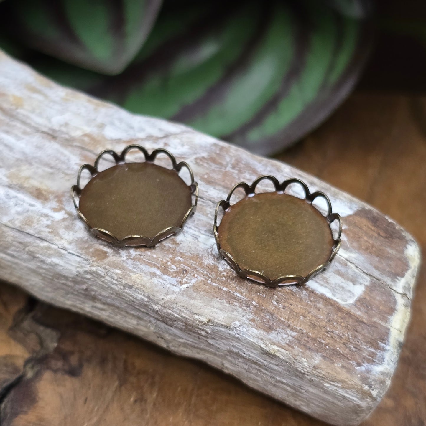 Cabochonfassung 14mm aus antik bronzefarbenem Messing mit Bogenkante. Perfekt für Schmuck, Anhänger, Ohrringe & DIY-Projekte. Hochwertig & einfach zu verarbeiten.