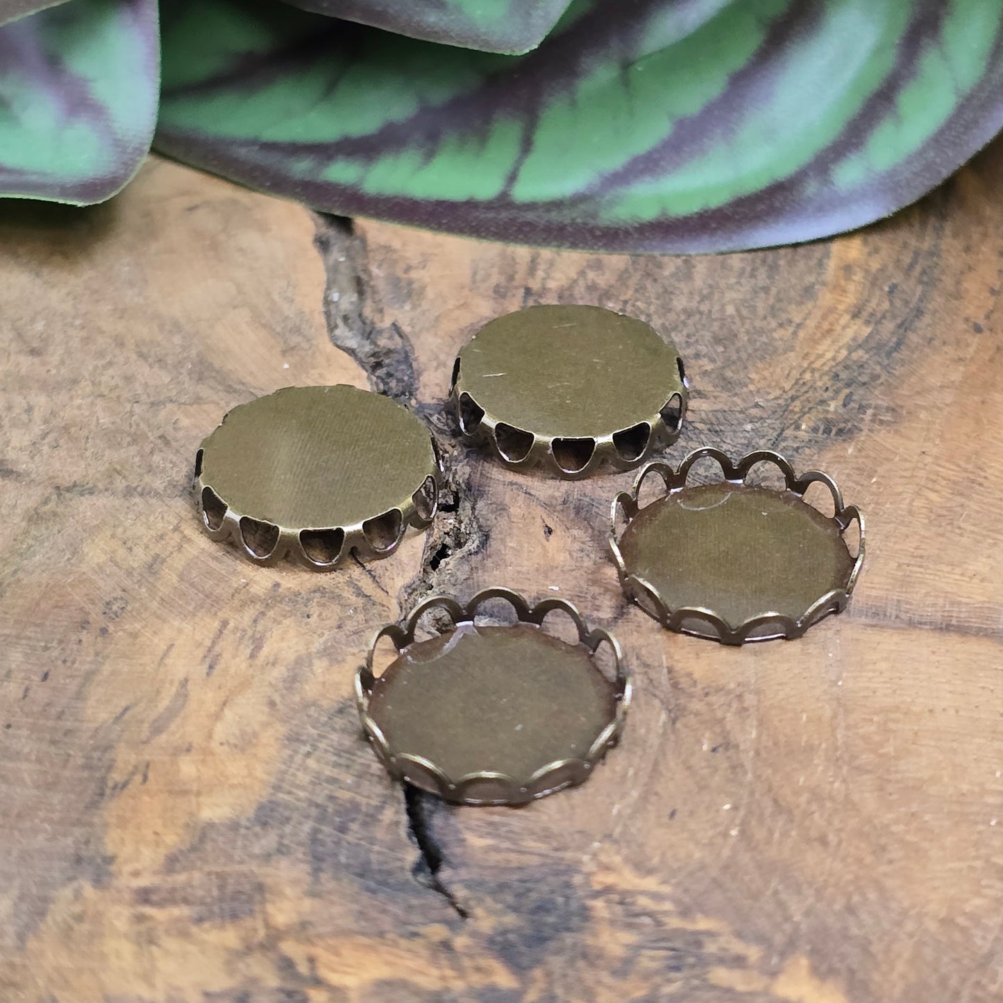 Cabochonfassung 14mm aus antik bronzefarbenem Messing mit Bogenkante. Perfekt für Schmuck, Anhänger, Ohrringe & DIY-Projekte. Hochwertig & einfach zu verarbeiten.
