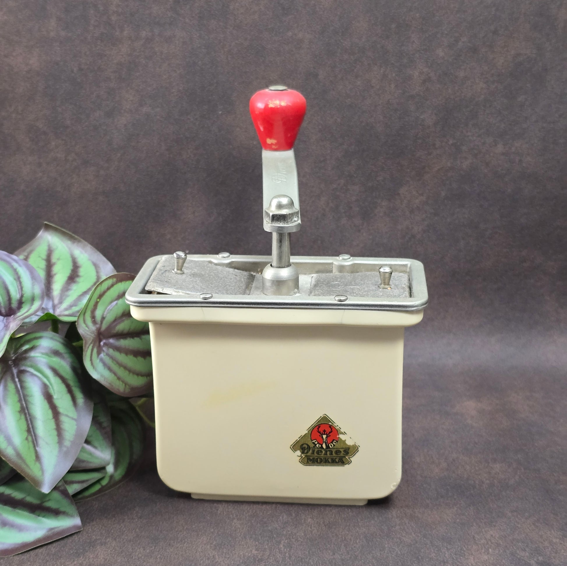 Dienes Handkaffeemühle aus den 1950er-Jahren mit Bakelit-Knauf, Holzgehäuse und funktionsfähigem Mahlwerk.