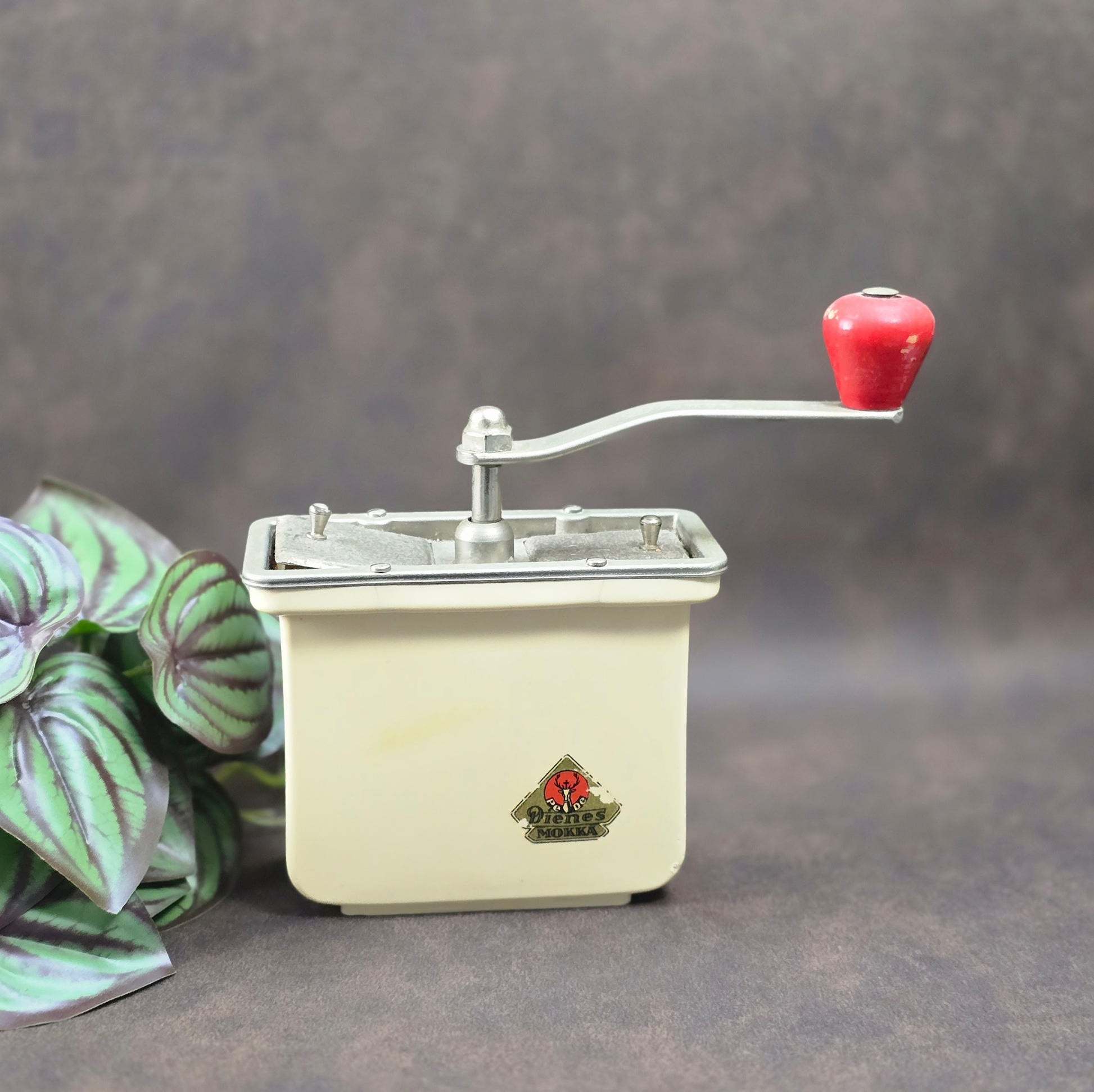 Dienes Handkaffeemühle aus den 1950er-Jahren mit Bakelit-Knauf, Holzgehäuse und funktionsfähigem Mahlwerk.