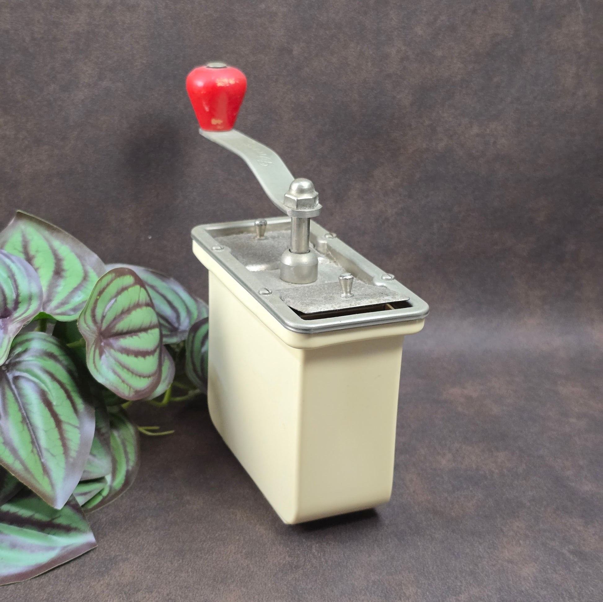 Dienes Handkaffeemühle aus den 1950er-Jahren mit Bakelit-Knauf, Holzgehäuse und funktionsfähigem Mahlwerk.