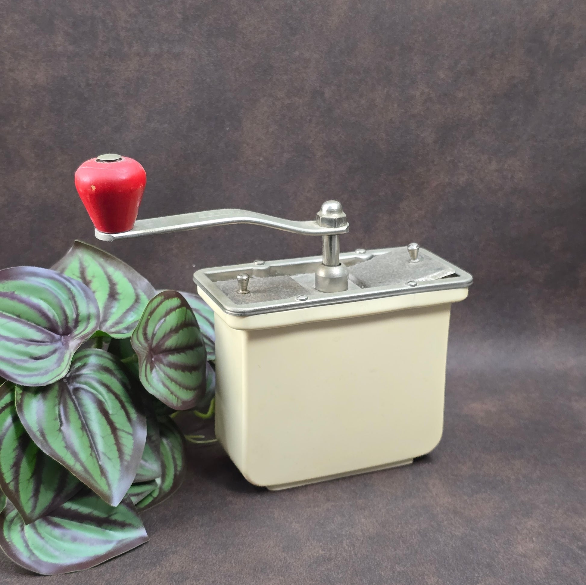 Dienes Handkaffeemühle aus den 1950er-Jahren mit Bakelit-Knauf, Holzgehäuse und funktionsfähigem Mahlwerk.