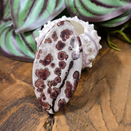 Große Navette-Perle (71 mm) aus naturbelassenem Leopardenfelljaspis – Unikat für ausdrucksstarke DIY-Schmuckdesigns.