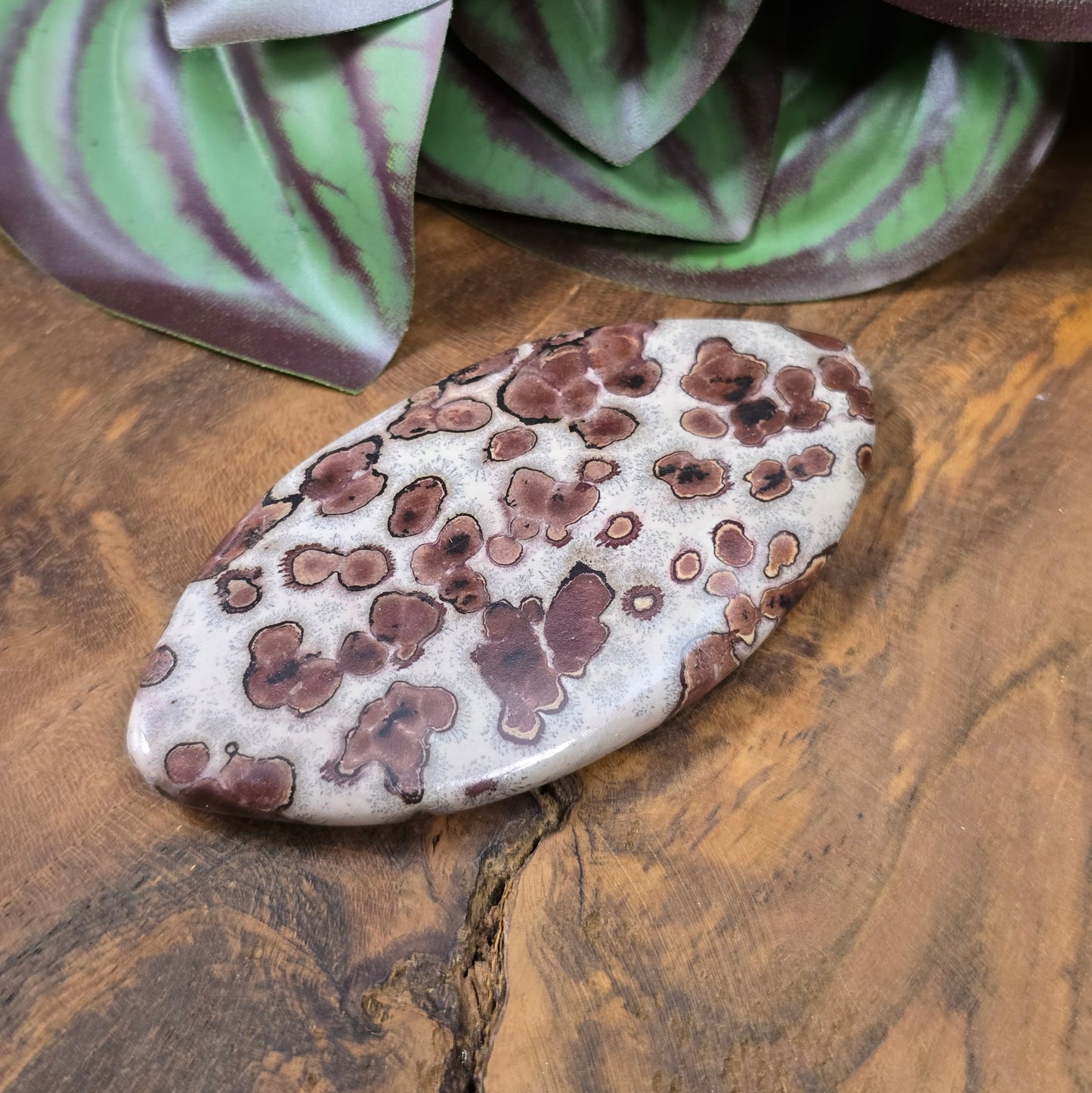 Große Navette-Perle (71 mm) aus naturbelassenem Leopardenfelljaspis – Unikat für ausdrucksstarke DIY-Schmuckdesigns.
