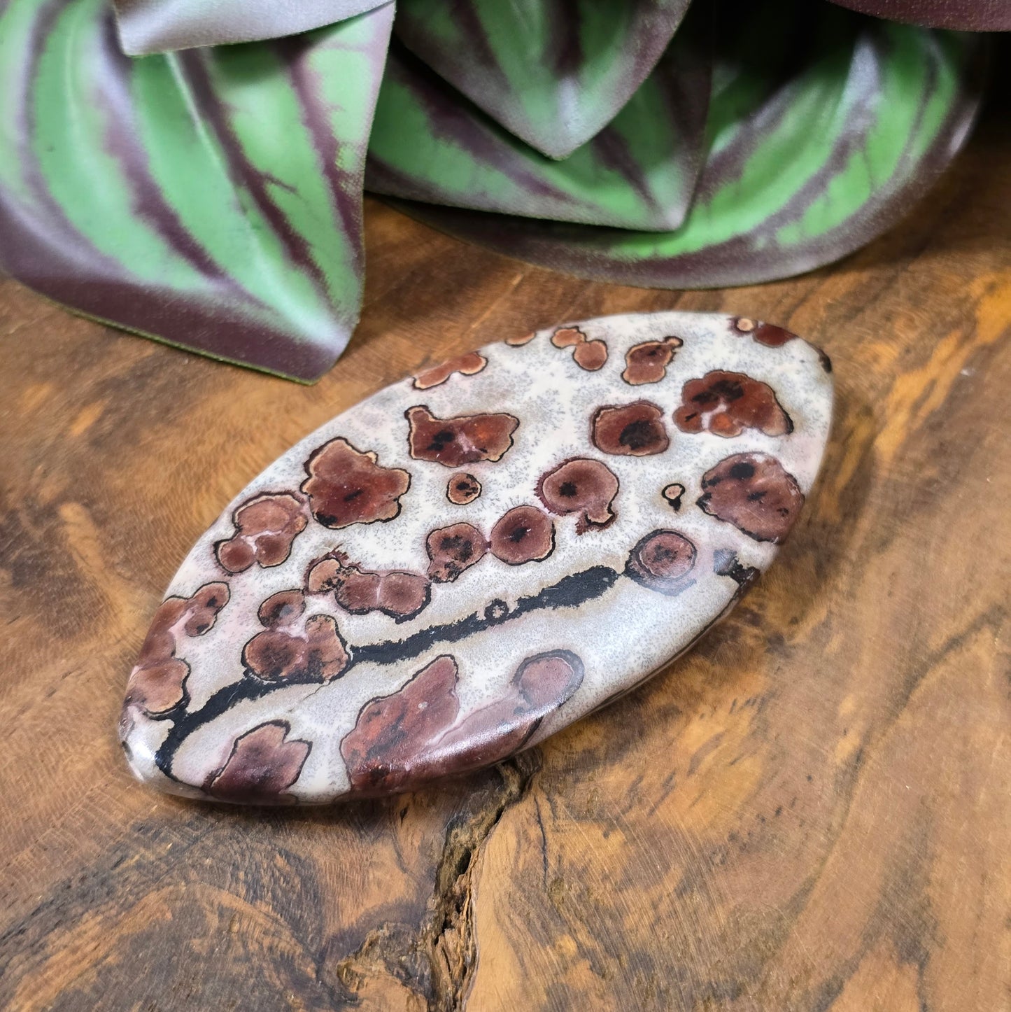 Große Navette-Perle (71 mm) aus naturbelassenem Leopardenfelljaspis – Unikat für ausdrucksstarke DIY-Schmuckdesigns.