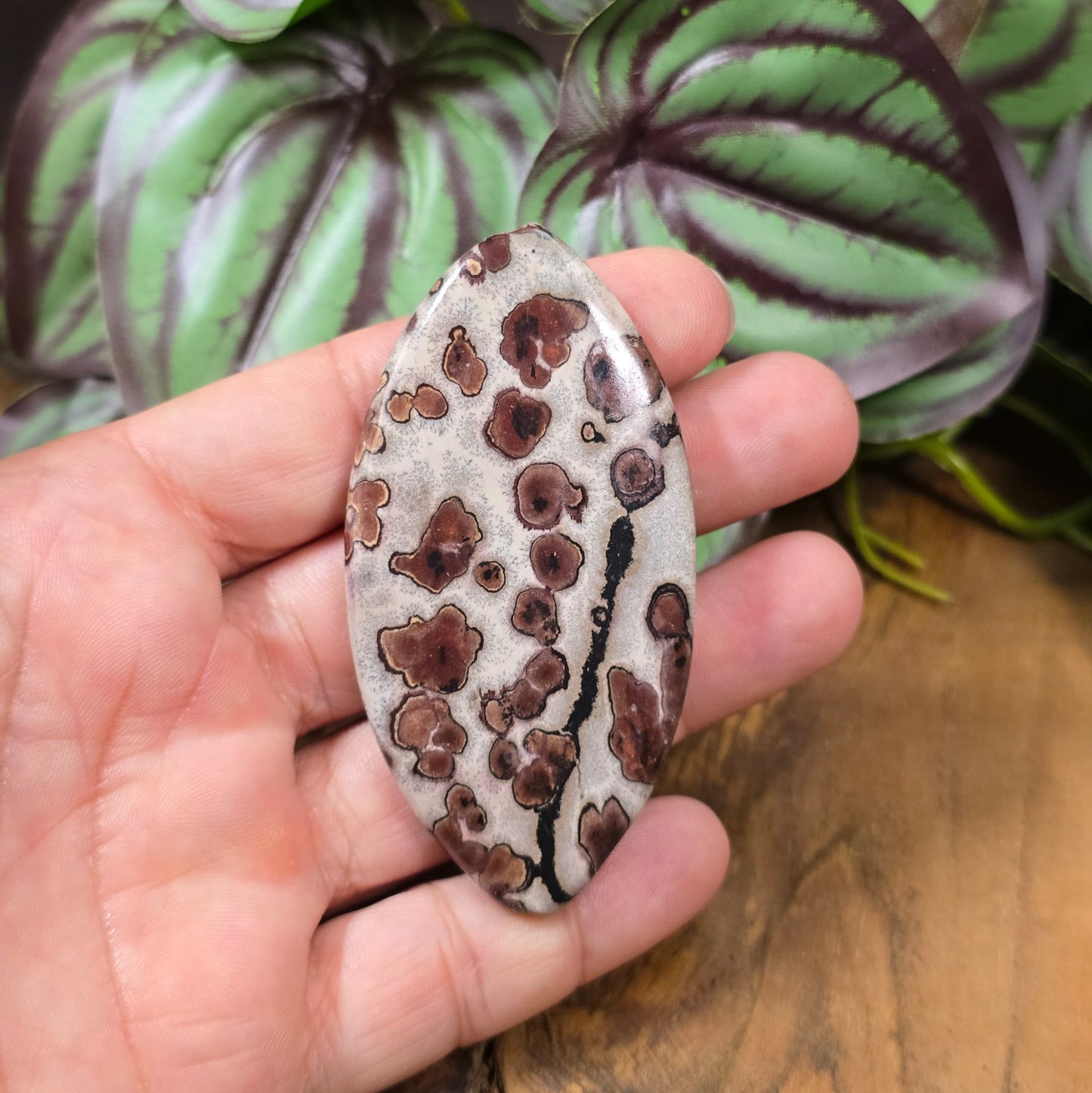 Große Navette-Perle (71 mm) aus naturbelassenem Leopardenfelljaspis – Unikat für ausdrucksstarke DIY-Schmuckdesigns.