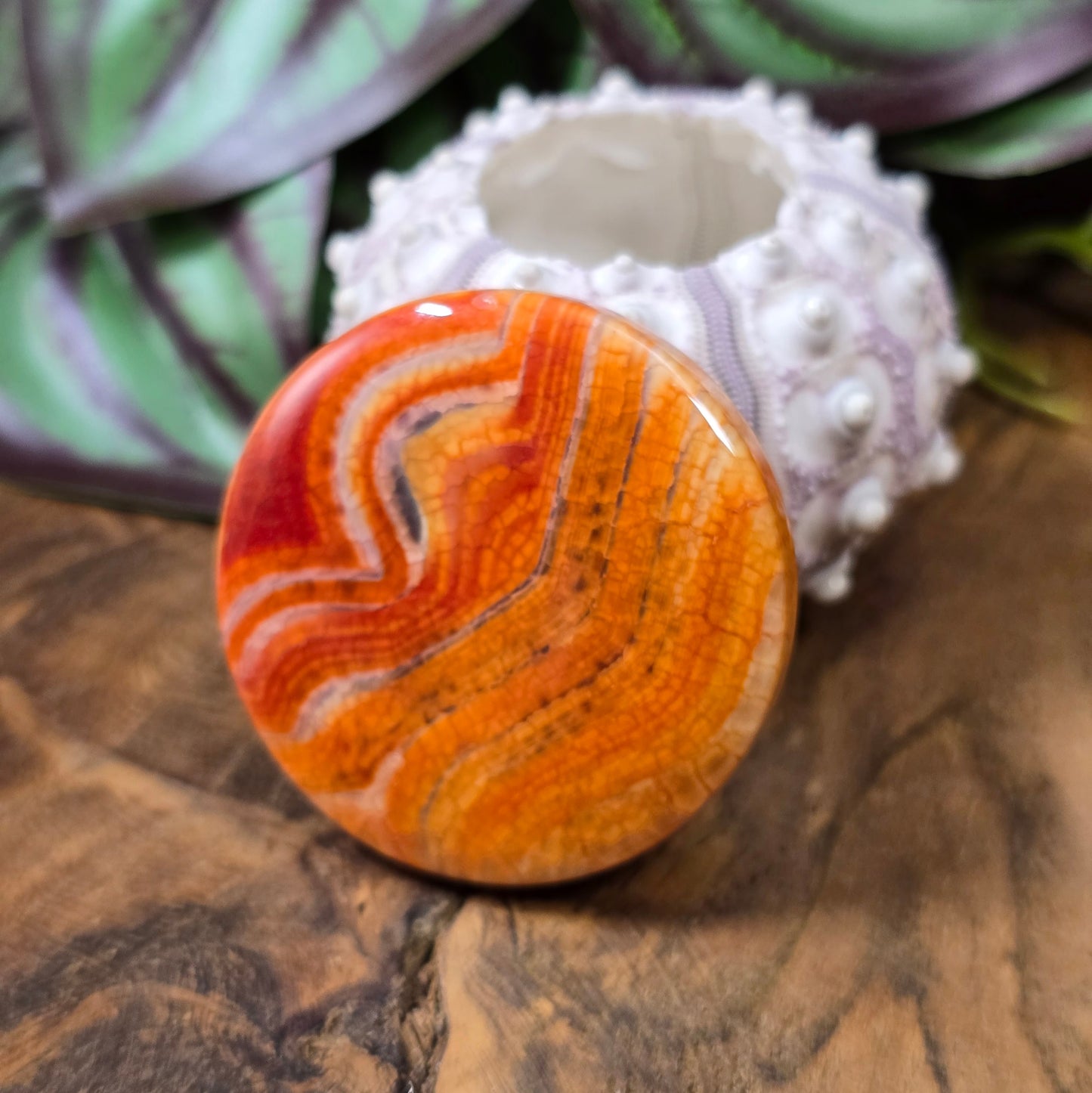 Große runde Centerperle aus orange-rotem Crackle-Achat (Ø 45 mm). Gefärbt & poliert. Ideal für Statement-Schmuck & Mala-Ketten. Jedes Stück ein Unikat!