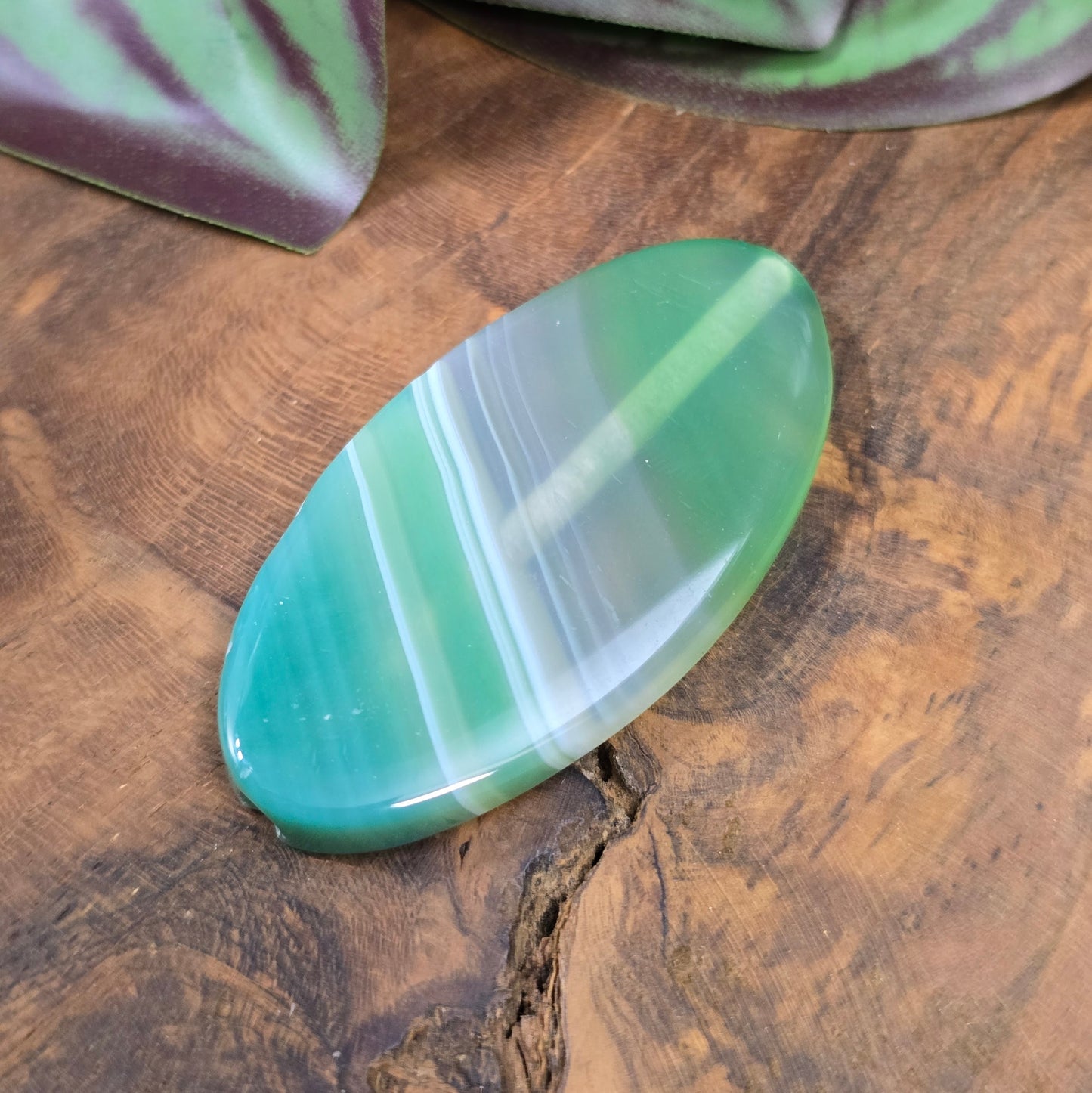Grüne Achat-Centerperle (50x25 mm), oval, gefärbt & poliert. Ideal für DIY-Schmuck. Unikat – du bekommst genau die abgebildete Perle.
