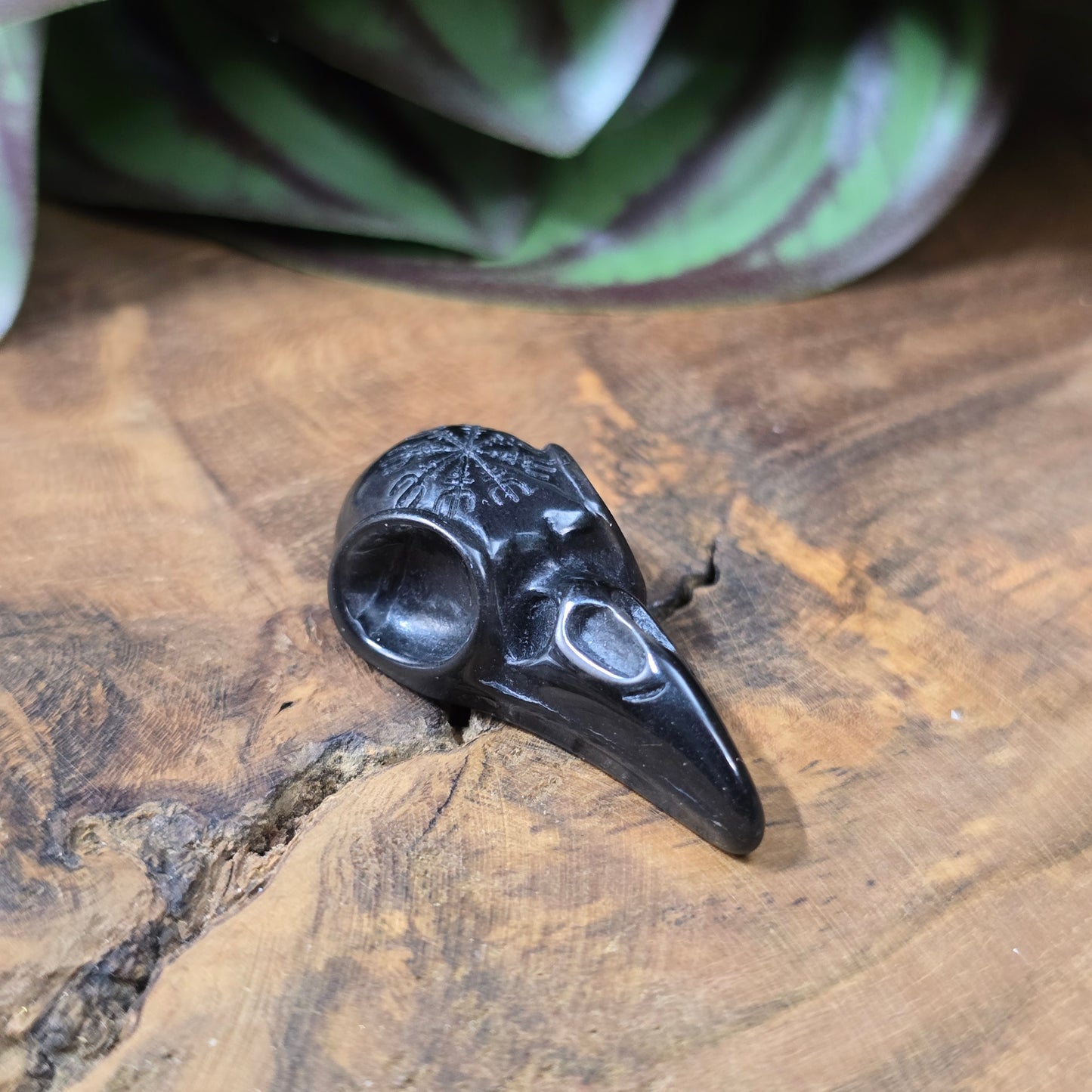 Rabenschädel-Cabochon aus Kunstharz, 34x17 mm, Schwarz oder Elfenbein – Schmuckteil ohne Loch für DIY-Ketten, Ohrringe oder kreative Designs.