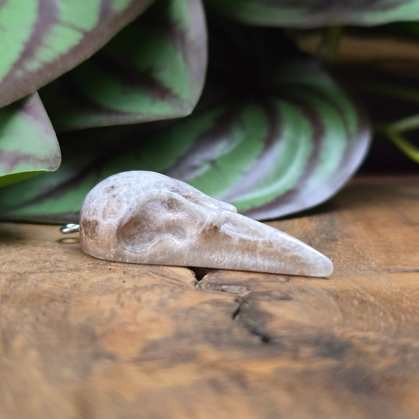 1x Resin-Krähenschädel-Anhänger Silbergrau, 44mm – flacher Rücken, perfekt für mystischen DIY-Schmuck & einzigartige Accessoires mit Charakter.