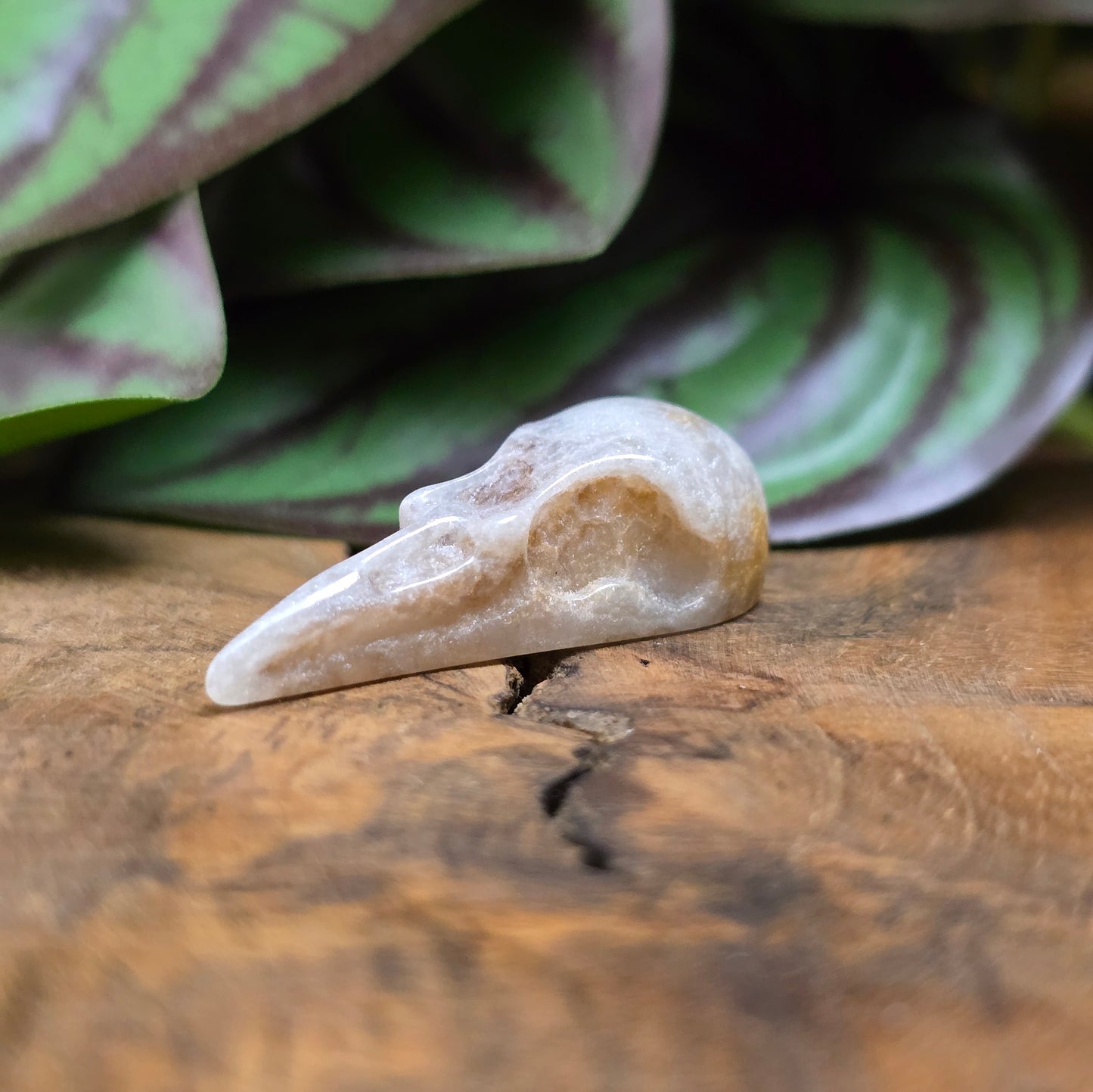 1x Resin-Krähenschädel-Anhänger Silbergrau, 44mm – flacher Rücken, perfekt für mystischen DIY-Schmuck & einzigartige Accessoires mit Charakter.