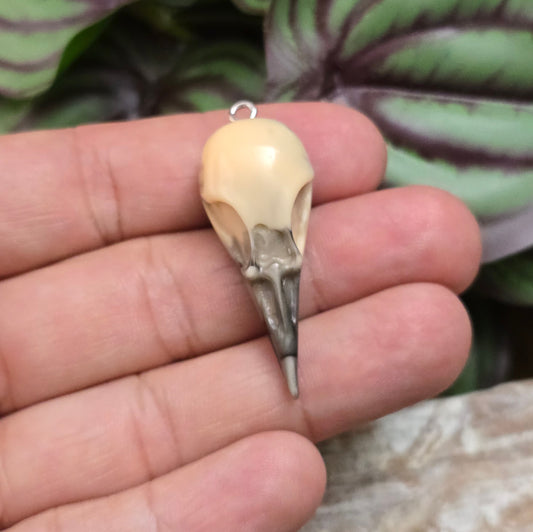 1x Resin-Krähenschädel-Anhänger in Beige/Schwarz, 44mm, flacher Rücken – perfekt für Ketten, Armbänder oder magisch inspirierte Accessoires. Handgefertigt & einzigartig.