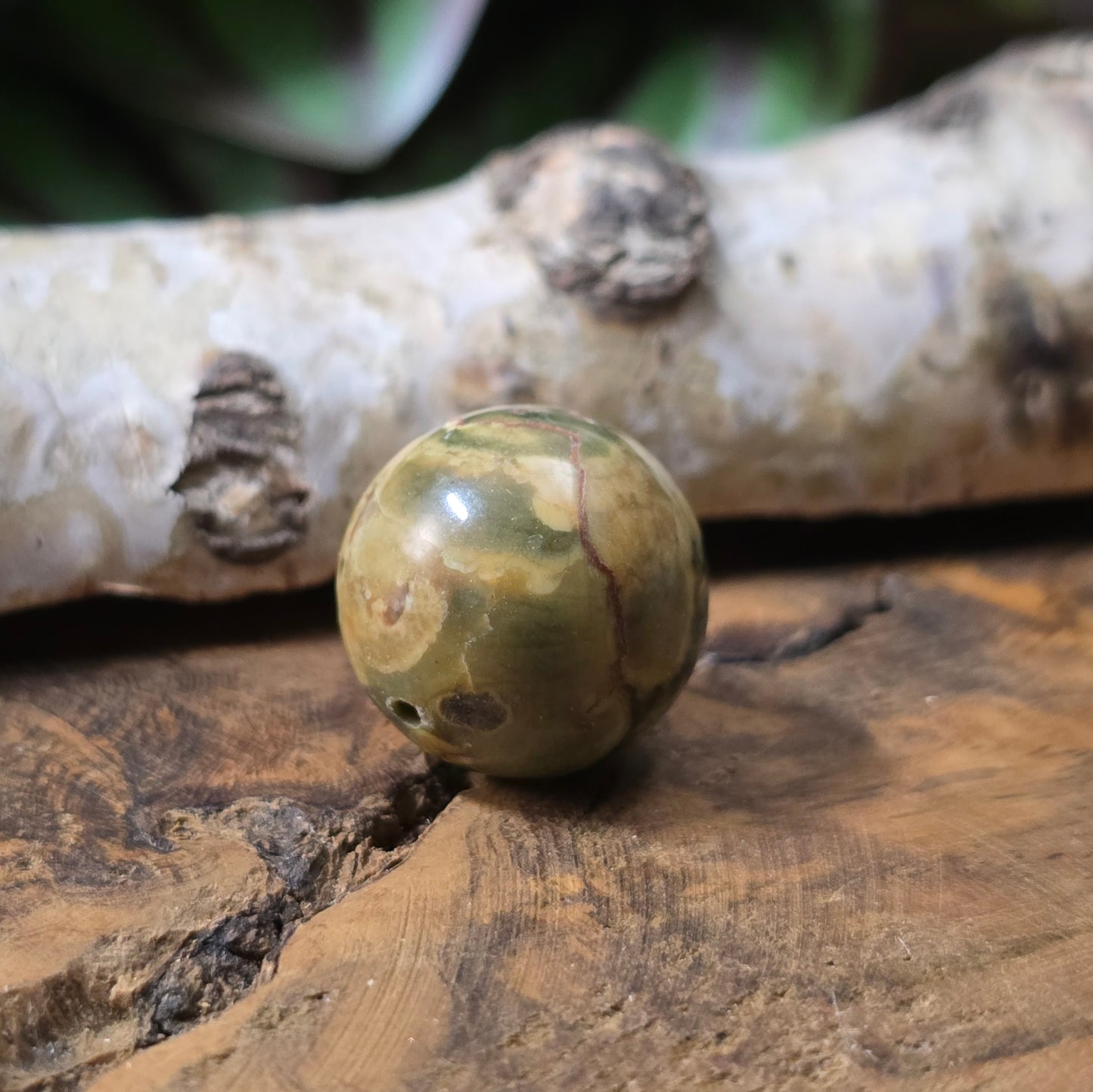 Rhyolith-Kugelperle 16 mm – Regenwald-Jaspis mit einzigartiger Maserung. Stabilisiert & poliert. Perfekt für Schmuckherstellung. Du erhältst exakt die abgebildete Perle.