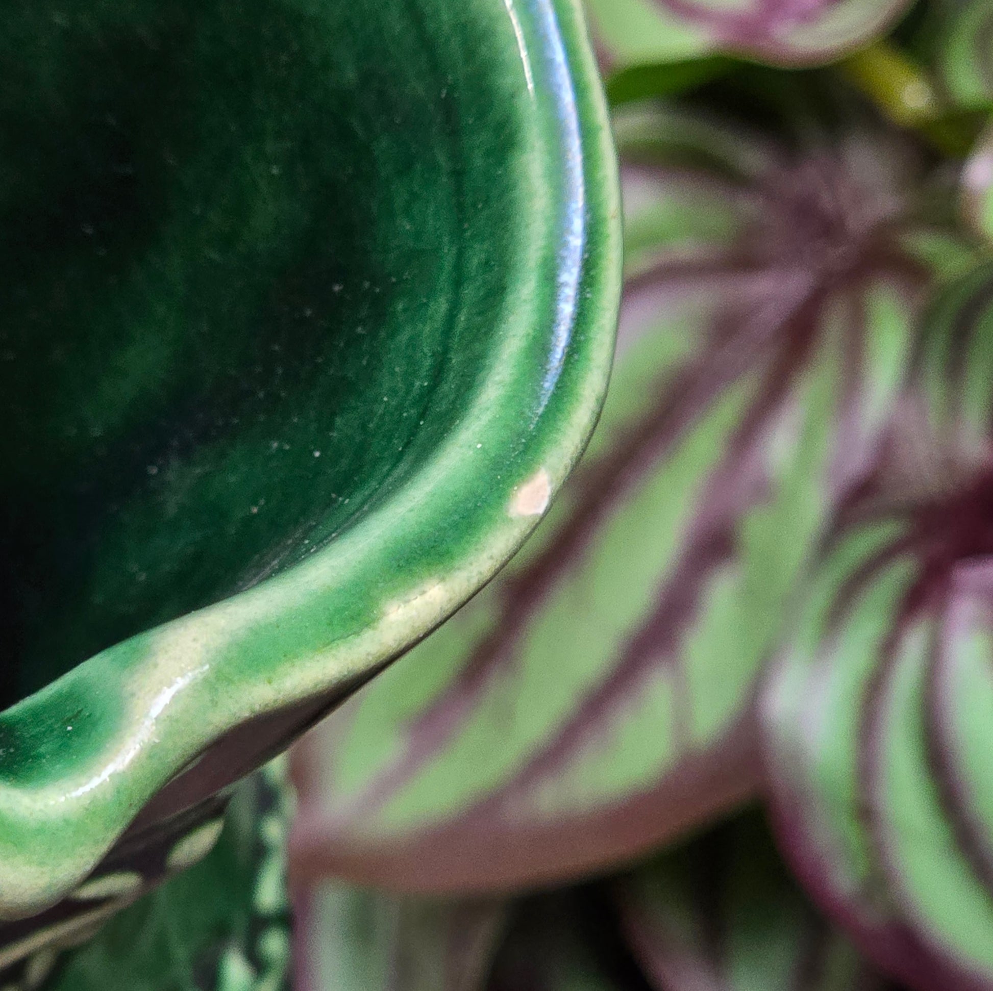 Dunkelgrüner Marzi & Remy Weinkrug aus den 70ern. Rustikales Steinzeug mit Traubenmotiv – perfekt für Weinliebhaber, Vintage Deko oder als originelles Geschenk.