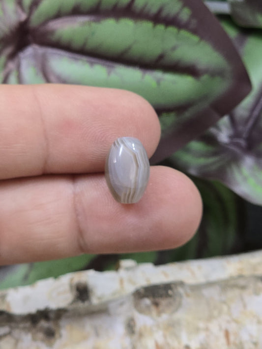 Ovale Botswana-Achat-Perle mit feiner grau-beiger Streifenmaserung als Größenansicht auf den Fingern