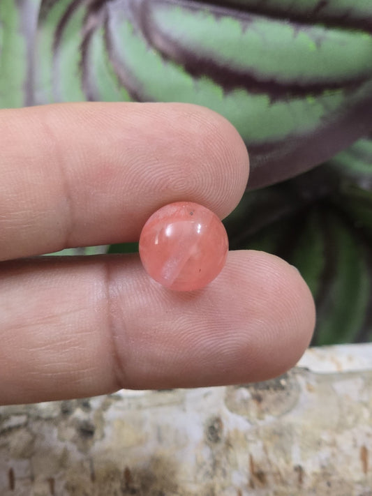 Rote Erdbeerquarz-Perle mit 10 mm Durchmesser auf den Fingern als Größenvergleich