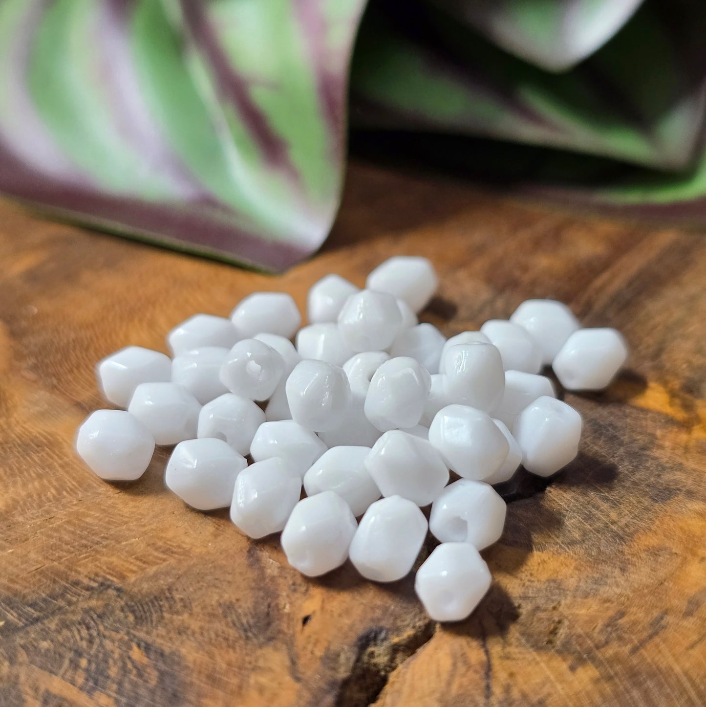 40 klassische Glasperlen in opakem Weiß (5 mm), oval & facettiert – aus Gablonz. Perfekt für elegante DIY-Schmuckideen, gut kombinierbar und vielseitig einsetzbar