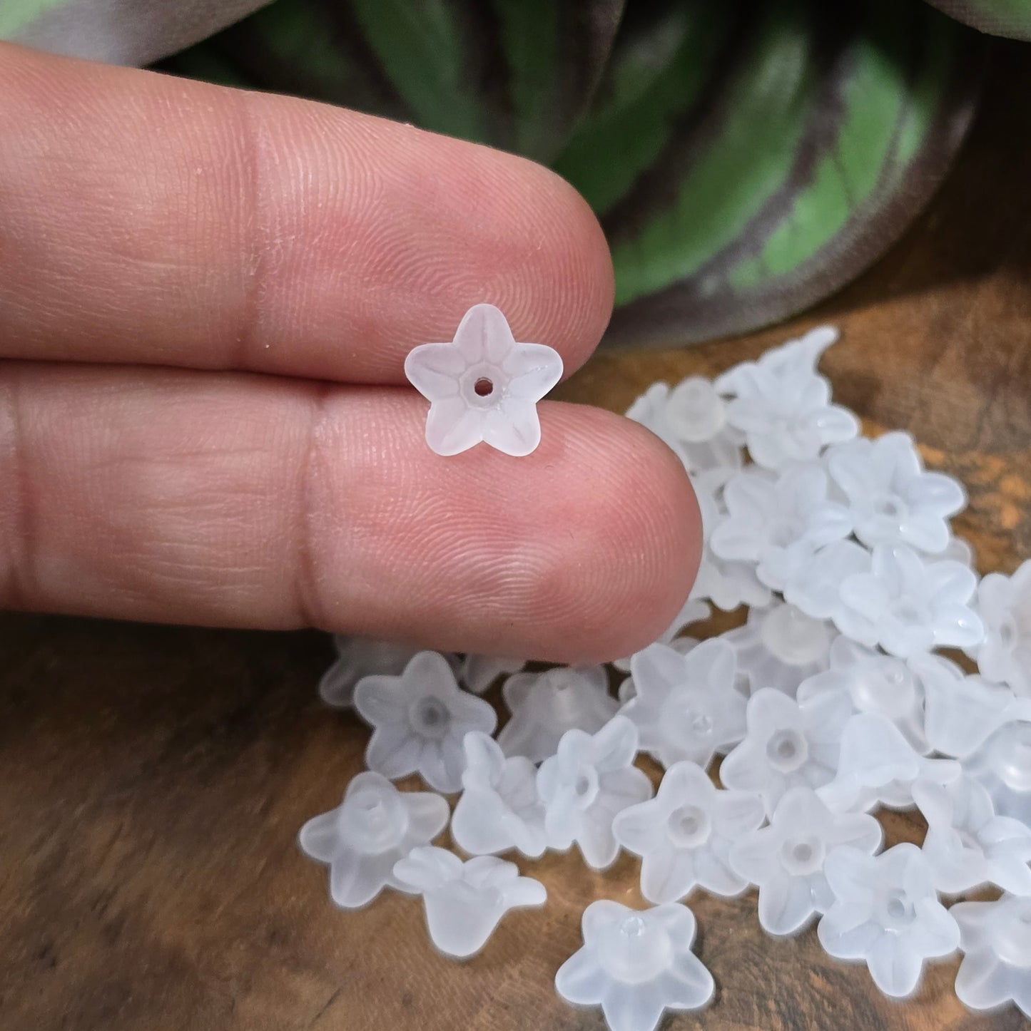 40 gefrostete Blütenkappen aus Acryl – ideal für zarte DIY-Schmuckstücke oder Streudeko.