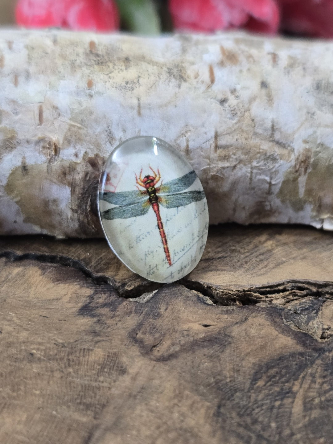Nahaufnahme eines einzelnen 18x13 mm großen ovalen Glascabochons mit detailreicher Libelle als Schmuckzubehör zum Basteln von Medaillons, Ringen oder Ketten.