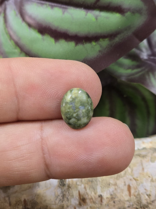 Ovale Rhyolith-Perle in Grün als Größenvergleich auf den Fingern mit natürlicher Steinzeichnung