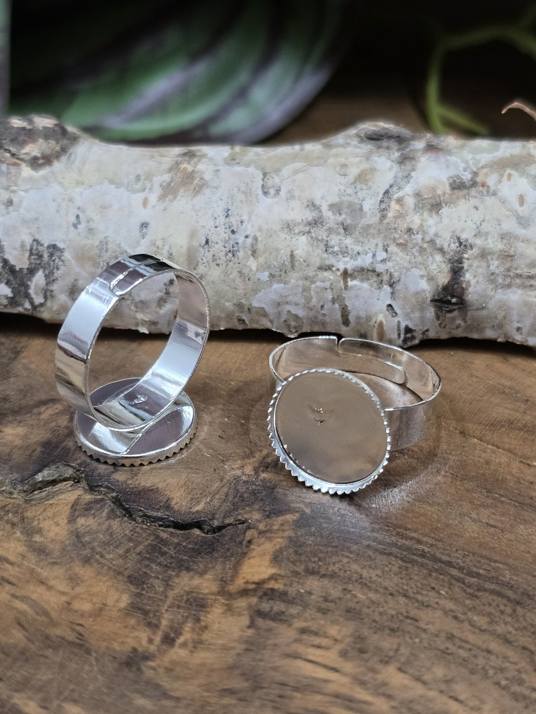 Zwei silberne Ringrohlinge mit runder 12mm Klebefläche und gezacktem Fassungsrand auf Holz vor einer Birkenrinde.