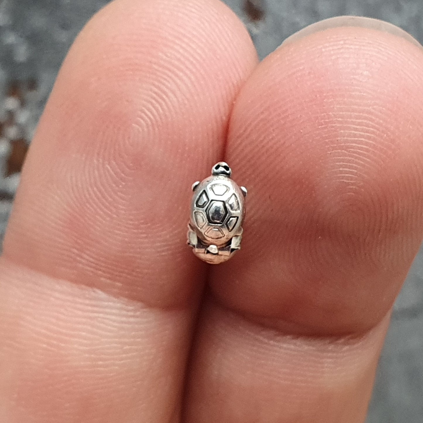 4 Designer (Quetsch) Kalotten Schildkröte, 5mm, antik silberfarbig