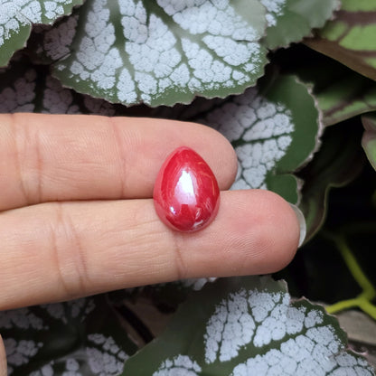 Diese Cabochons sind wie gemacht für die Schmuckherstellung. Klebe sie in passende Fassungen, um stilvolle Anhänger, elegante Ringe oder bezaubernde Ohrringe zu gestalten. Mit ihrer glänzenden, schimmernden Oberfläche verleihen sie jedem Design eine edle Note.