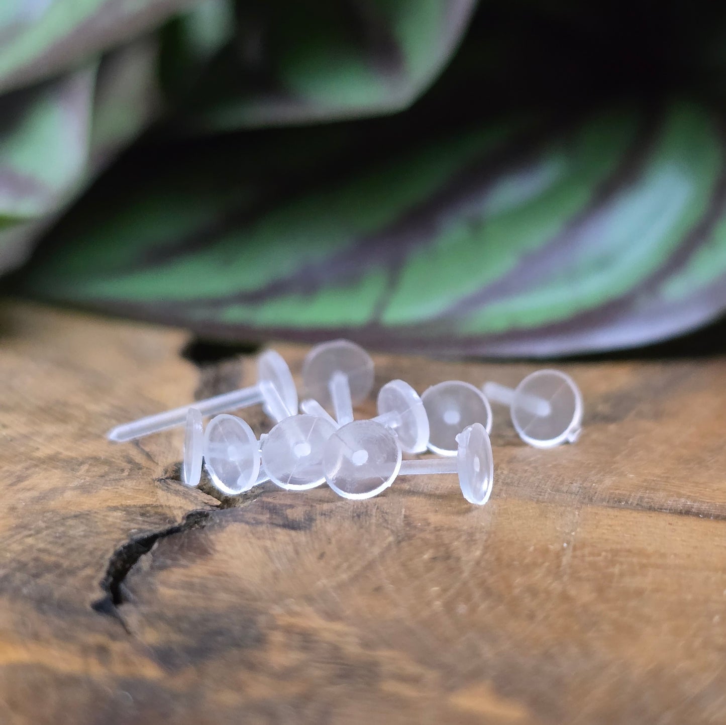 10 transparente, allergiefreie Ohrstecker aus Kunststoff mit 5 mm Klebefläche – ideal für DIY-Schmuck & kreative Ohrstecker-Projekte.