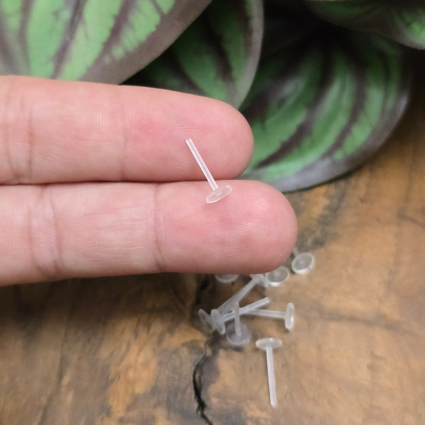 10 transparente, allergiefreie Ohrstecker aus Kunststoff mit 5 mm Klebefläche – ideal für DIY-Schmuck & kreative Ohrstecker-Projekte.