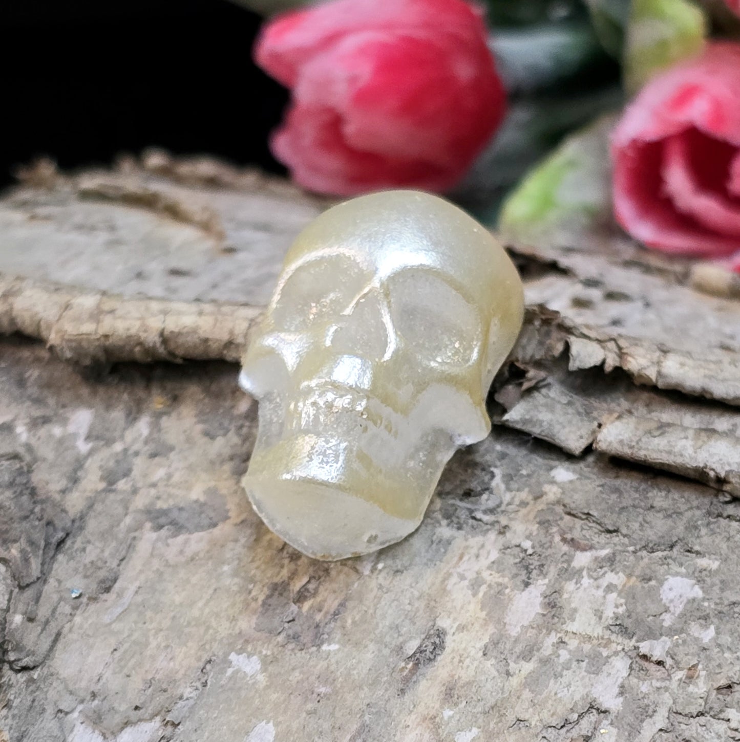 Das Bild zeigt einen Cabochon aus Resin mit cremeweißer Farbe auf einem Stück Birke.
