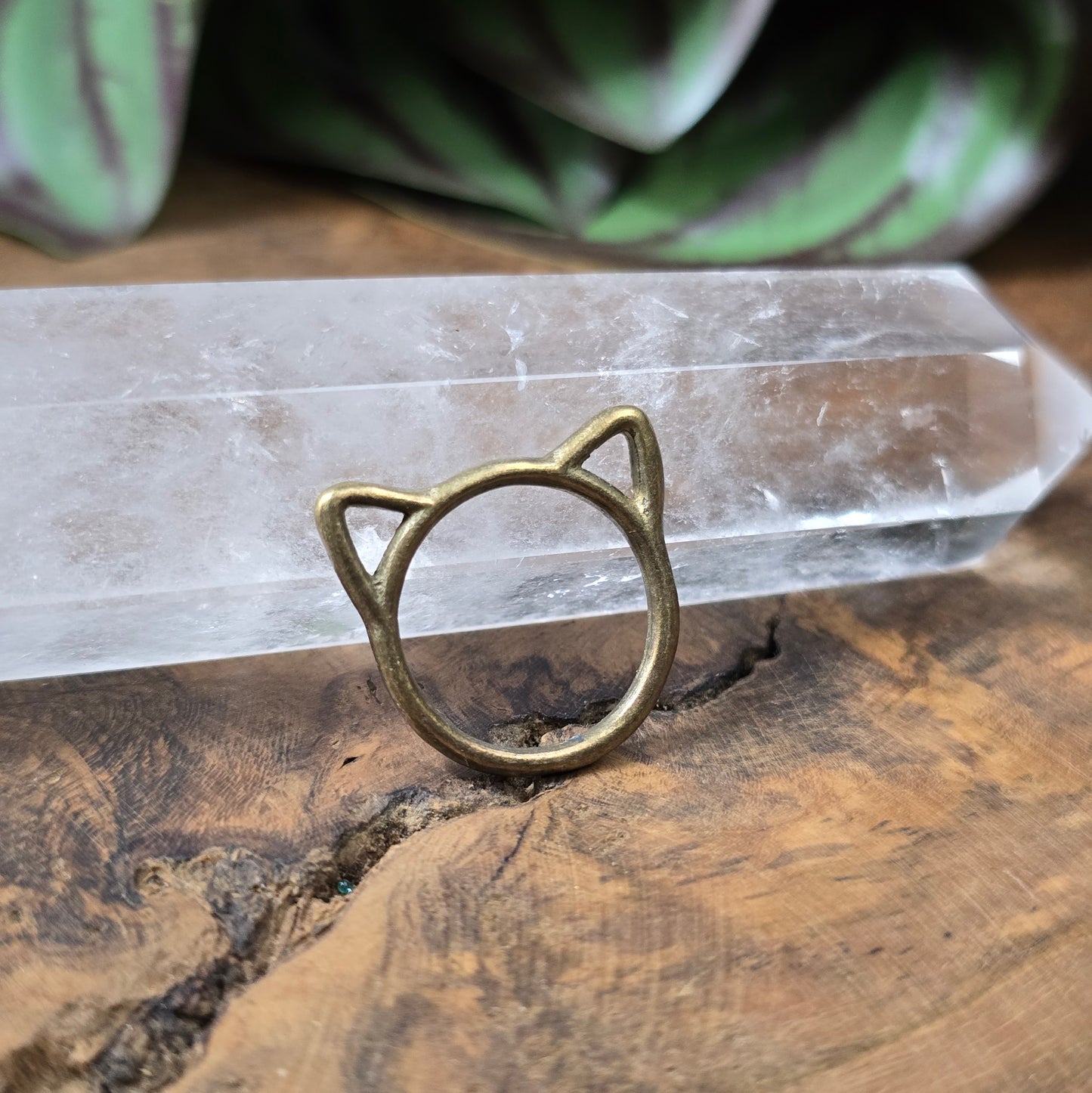 Antik bronzefarbene Verbindungsringe mit Katzenohren, 17mm, 5er-Set für Schmuckdesign und DIY