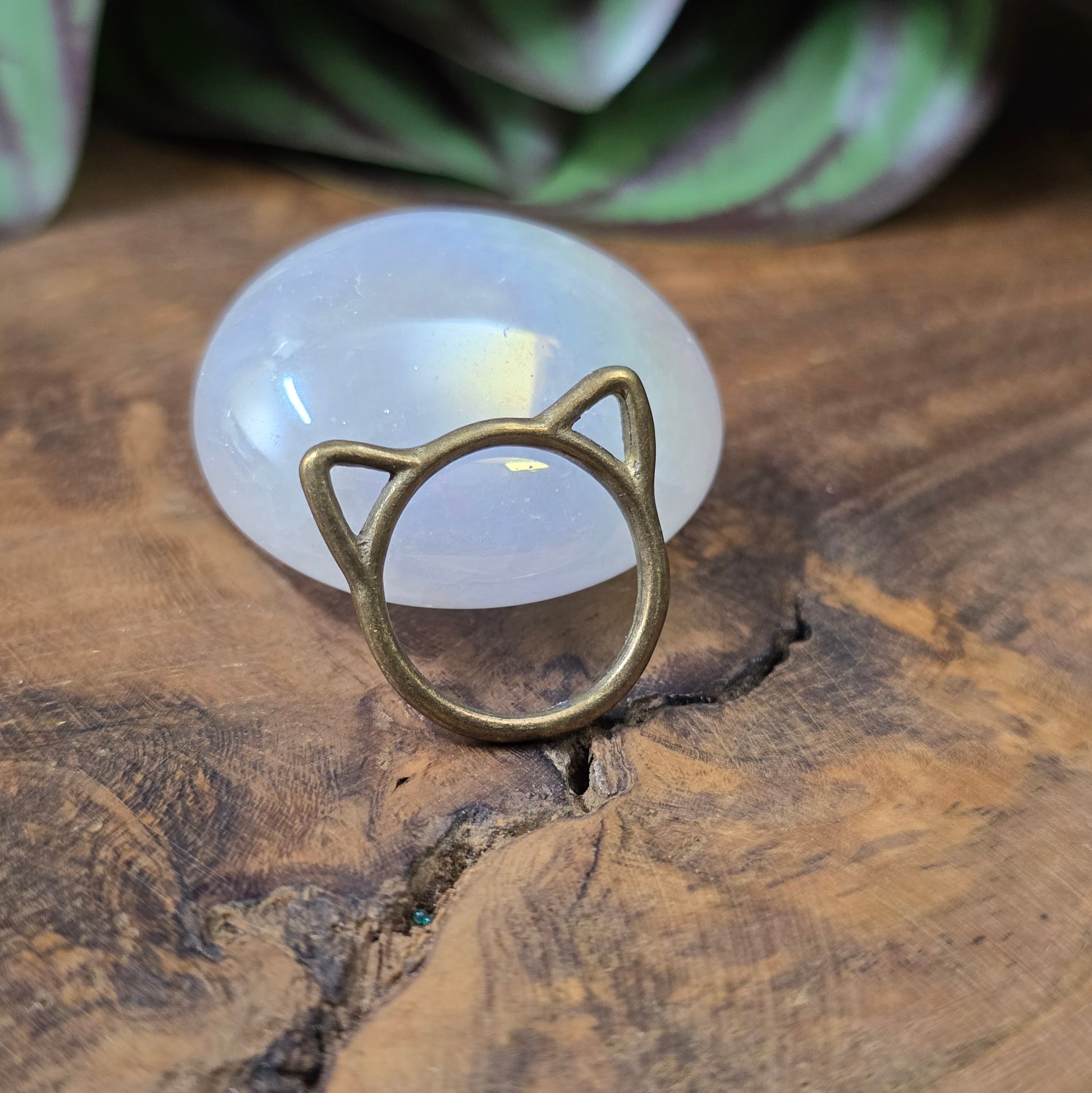 Antik bronzefarbene Verbindungsringe mit Katzenohren, 17mm, 5er-Set für Schmuckdesign und DIY