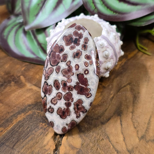 Große Navette-Perle (71 mm) aus naturbelassenem Leopardenfelljaspis – Unikat für ausdrucksstarke DIY-Schmuckdesigns.