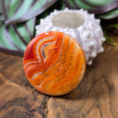 Große runde Centerperle aus orange-rotem Crackle-Achat (Ø 45 mm). Gefärbt & poliert. Ideal für Statement-Schmuck & Mala-Ketten. Jedes Stück ein Unikat!