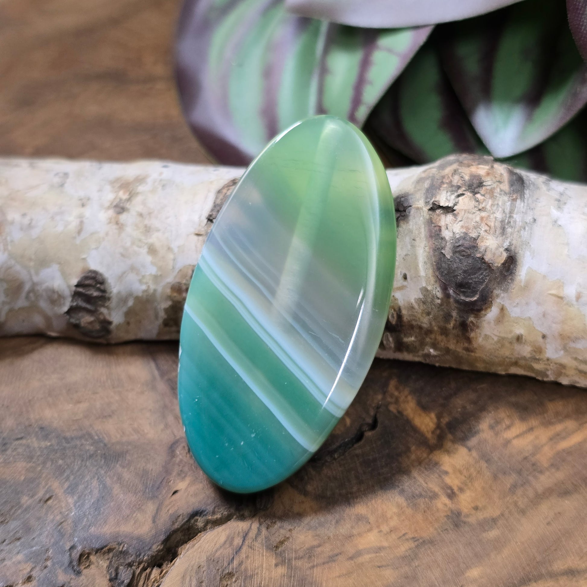 Grüne Achat-Centerperle (50x25 mm), oval, gefärbt & poliert. Ideal für DIY-Schmuck. Unikat – du bekommst genau die abgebildete Perle.