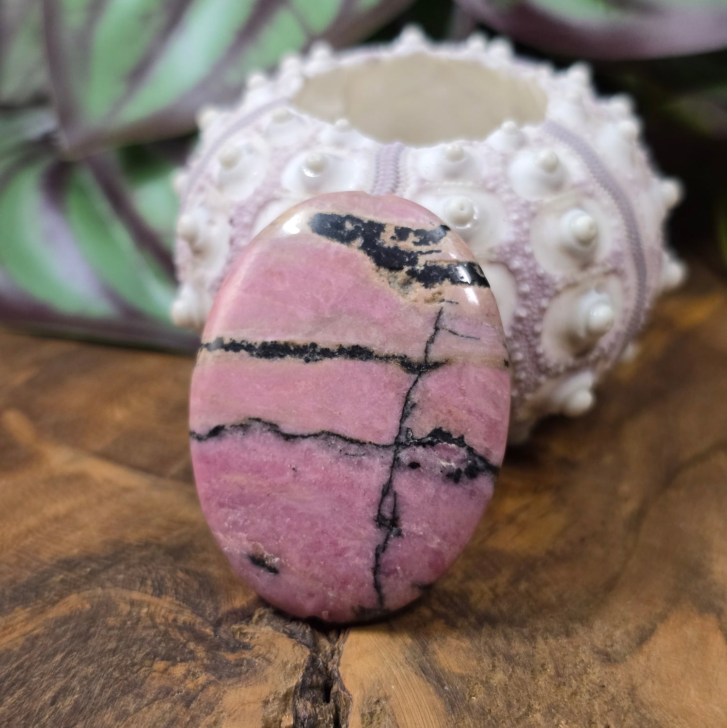 Ovaler Rhodonit in Rosa & Schwarz, 40x30 mm – poliert & natürlich. Ideal als Unikat-Centerpiece für DIY-Schmuck. Du erhältst genau die abgebildete Perle.