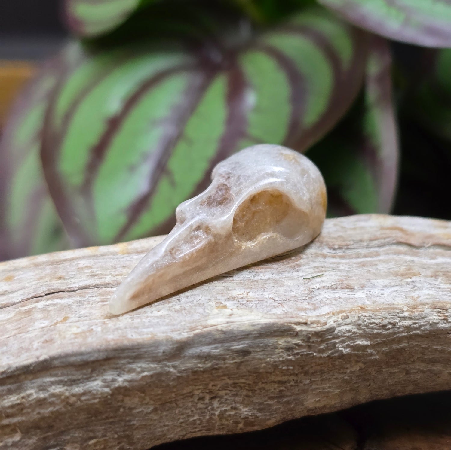 1x Resin-Krähenschädel-Anhänger Silbergrau, 44mm – flacher Rücken, perfekt für mystischen DIY-Schmuck & einzigartige Accessoires mit Charakter.