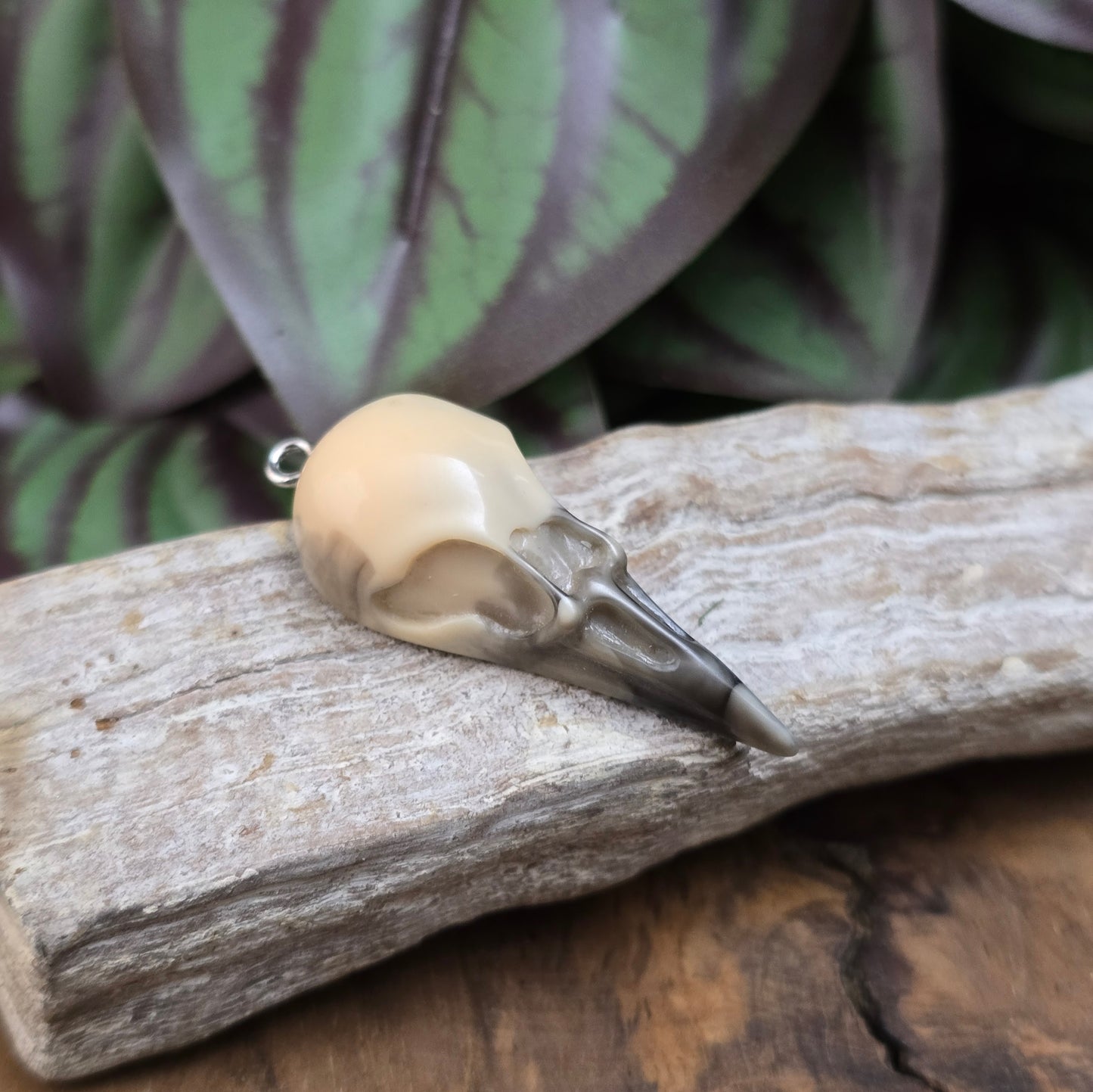 1x Resin-Krähenschädel-Anhänger in Beige/Schwarz, 44mm, flacher Rücken – perfekt für Ketten, Armbänder oder magisch inspirierte Accessoires. Handgefertigt & einzigartig.