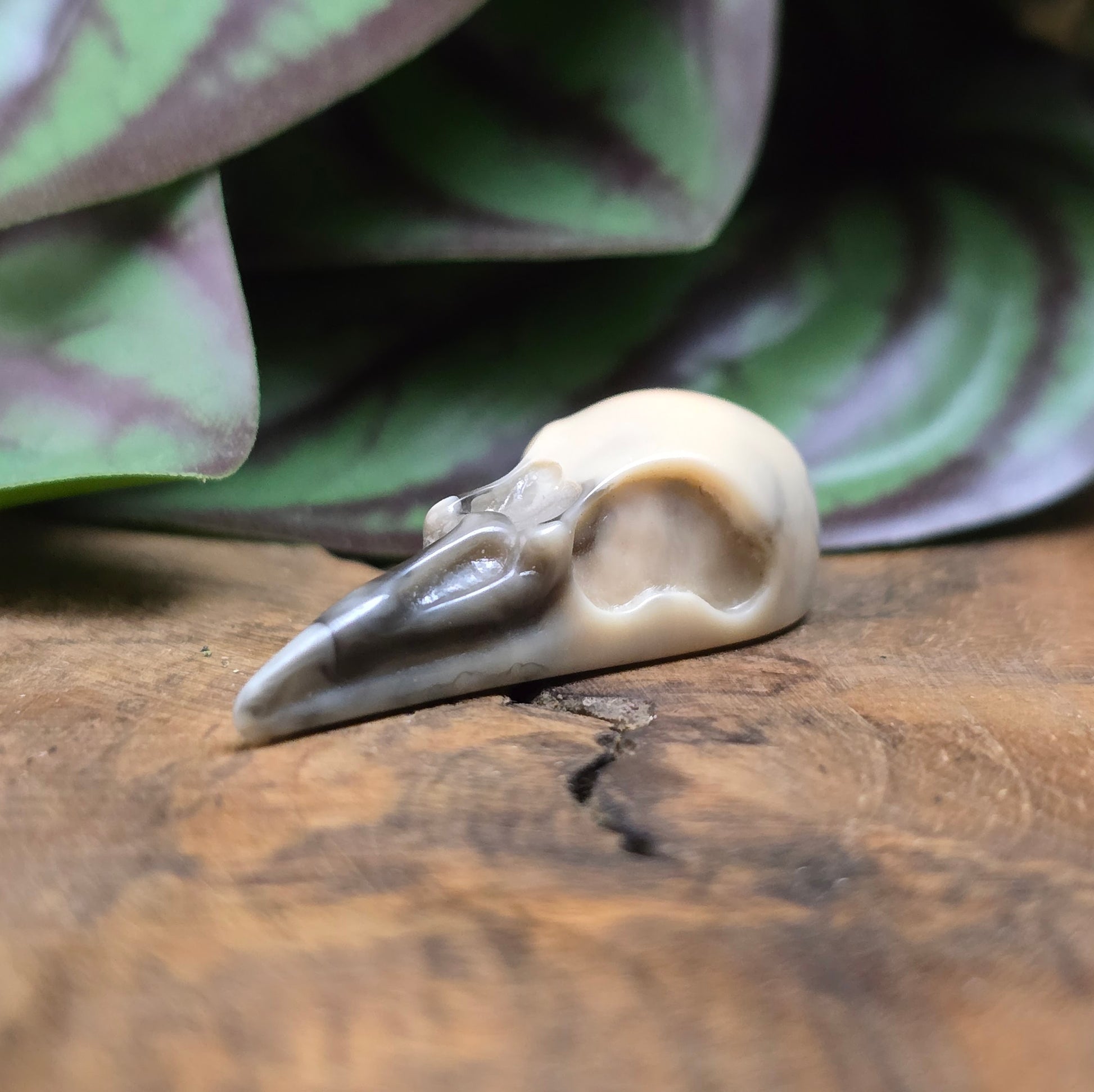 1x Resin-Krähenschädel-Anhänger in Beige/Schwarz, 44mm, flacher Rücken – perfekt für Ketten, Armbänder oder magisch inspirierte Accessoires. Handgefertigt & einzigartig.