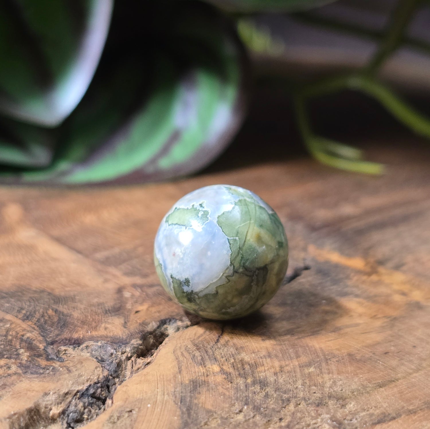 Rhyolith-Kugelperle 16 mm – Regenwald-Jaspis mit natürlicher Maserung. Poliert & stabilisiert. Exakt die abgebildete Perle – ein echtes Unikat für Schmuckherstellung.