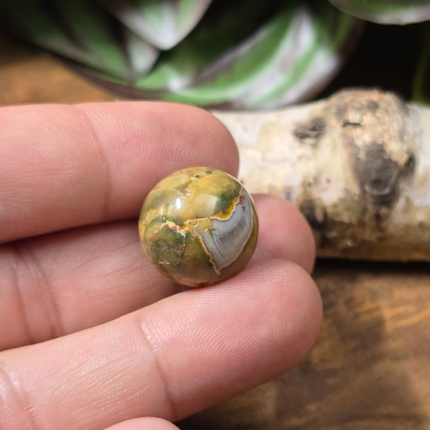 Rhyolith-Kugelperle 16 mm – Regenwald-Jaspis mit einzigartiger Maserung. Stabilisiert & poliert. Perfekt für Schmuckherstellung. Du erhältst exakt die abgebildete Perle.