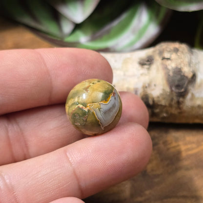 Rhyolith-Kugelperle 16 mm – Regenwald-Jaspis mit einzigartiger Maserung. Stabilisiert & poliert. Perfekt für Schmuckherstellung. Du erhältst exakt die abgebildete Perle.