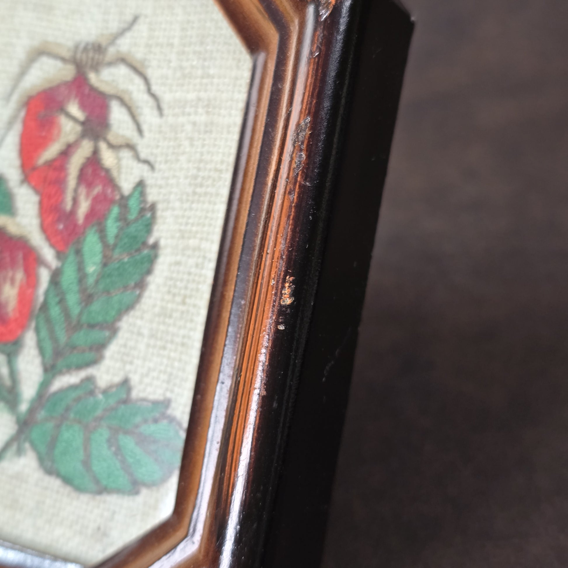 Zwei Vintage-Stickbilder aus den 60er/70er Jahren, Enzian & Hagebutte, unter Glas im britischen Registered Design Rahmen.